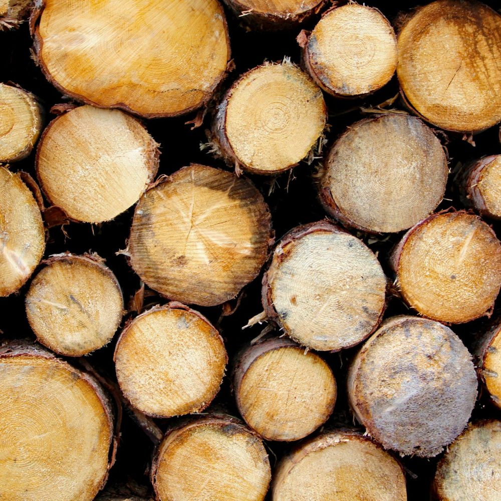 Close-up view of freshly cut log slices stacked for wood storage, showing natural texture.